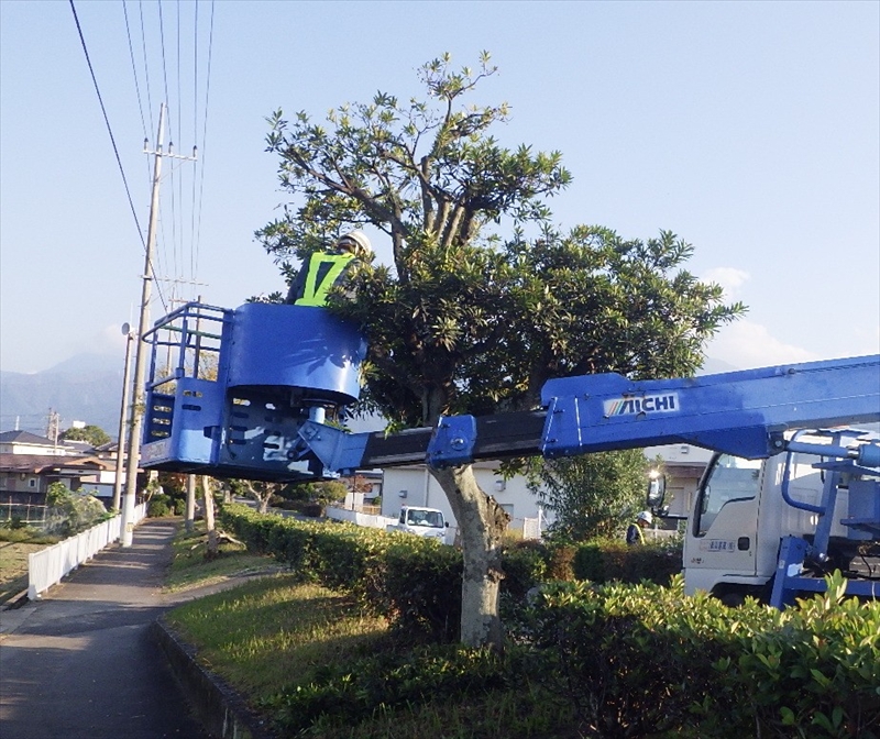 作業シーン