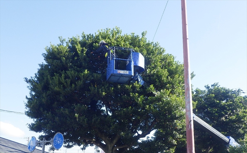 作業シーン