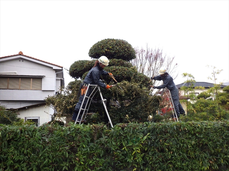 事業内容について