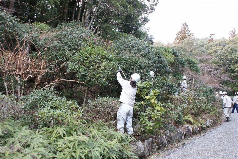 作業シーン